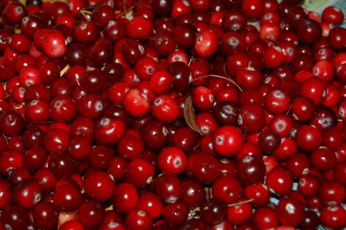cranberries-957583_1920